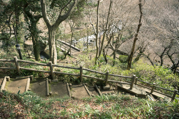 View from the top of the Susono Kairakuen Park