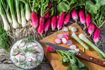 Dietary cottage cheese with radish, healthy eating, vegetarian diet concept