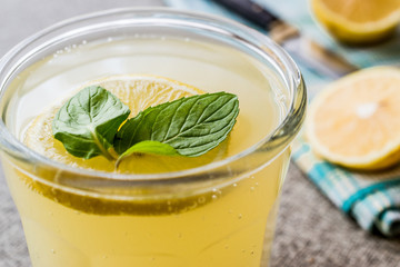Lemonade drink of soda water with mint leaves and lemon.