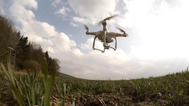 Drone flight over wheat field. Young seedlings in brown soil. New tool for farmers use drones to inspect of cultivated fields. Modern technology in agriculture. 