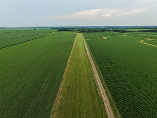 Obraz premium Down on the farm