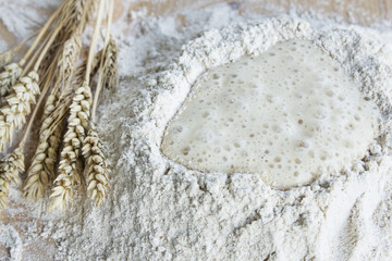 Whole Wheat Flour and Yeast