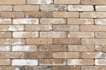 Old dirty yellow white brick wall texture