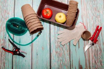 Gardening. Garden tools, pots for seedlings on a wooden board in a rustic style. Copy and top view.