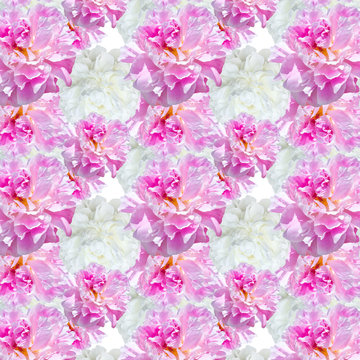  pattern pale pink peonies © lms_lms