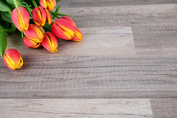 Tulpen mit Holzparkett
