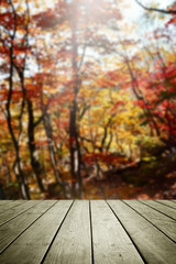 Naklejka na ściany i meble Empty wooden and blur garden autumn background.