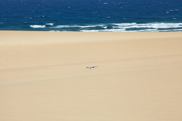 beach