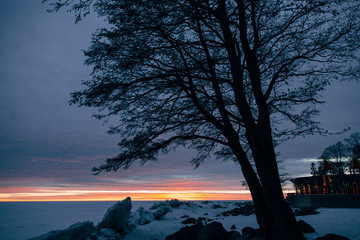 winter landscape - sunset in the snow field © cmirnovalexander