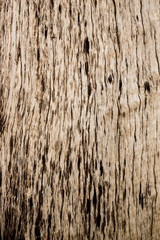  Very beautiful old wood for background