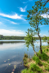 Sunny summer landscape of lake in the forest