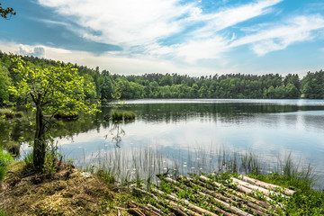 Fototapeta na wymiar Sunny summer landscape of lake in the forest