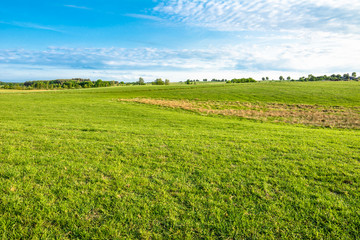 Fototapeta na wymiar Spring meadow and blue sky, countryside field with green grass