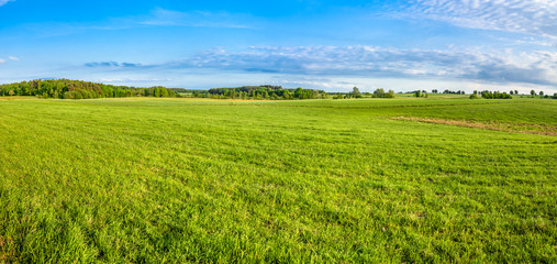 Panorama of meadow with grass in spring countryside scenery