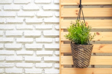 plant in hanging basket on wooden background and brick wall background two tone, nature interior concept, copy space for text.