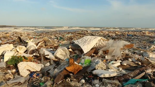 environmental problems.