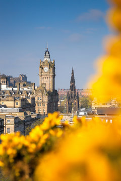 View of old town Edinburgh with flowers during spring in Scotland