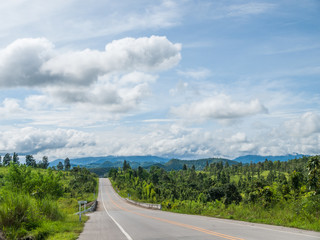 the road bring ahead to the nature