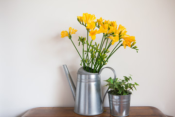 yellow freesia flowers and ivy in a vase. home design