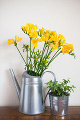 Fototapeta premium yellow freesia flowers and ivy in a vase. home design
