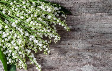 Lily of the valley on wooden background