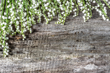 Lily of the valley on wooden background