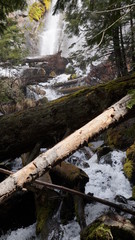 Fototapeta premium Exploring the Pacific Northwest