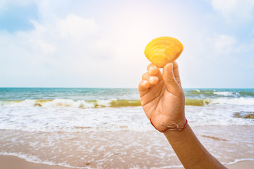 Shell in a hand on the beach.