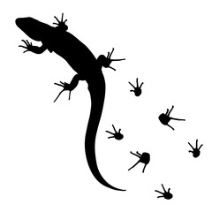 lizard and footprints silhouette vector
