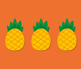 cute three pineapples