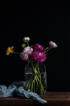 Dark and moody image of colorful ranunculus flowers