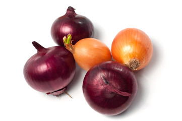 Onion on a white background