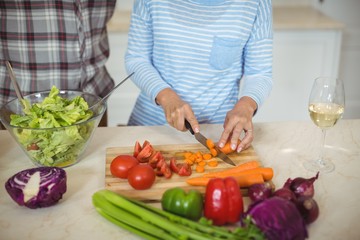 Senior couple preparing vegetable salad