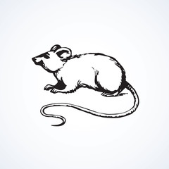 Mouse. Vector drawing