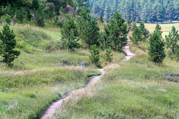 Fork in the trail at Castlewood Canyon State Park