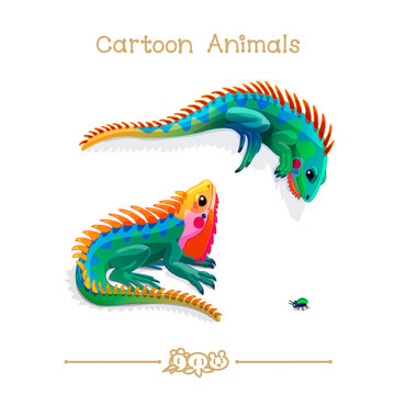 Toons series cartoon animals: multicolored iguanas and bug