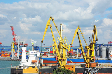 Bulk cargo ship under port crane
