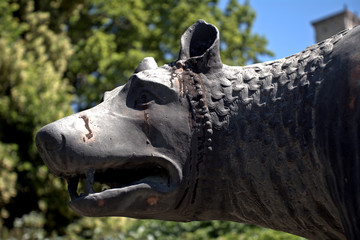 The mother wolf at Bolza Castle, Szarvas, Hungary