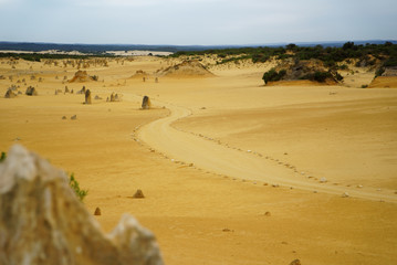 Pinapple Desert Australia Perth