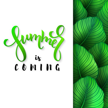 vector illustration of hand lettering poster - summer is coming with paper sheet on a background calathea leaves