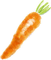 vegetable impression series-carrot
