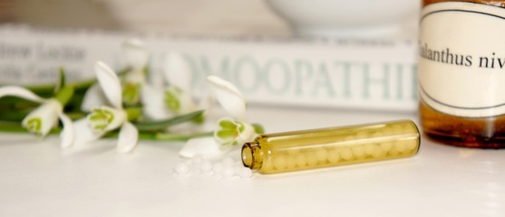 Schneeglöckchen, Homöopathie, Globuli