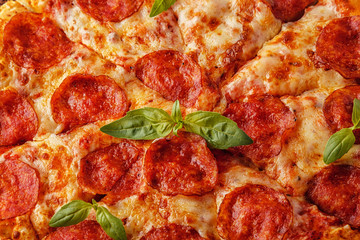 Pepperoni pizza with mozzarella cheese and tomato sauce