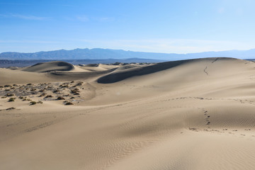 Fototapeta na wymiar Mesquite Flat Sand Dunes, Death Valley, California