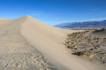 Sand dune, Mesquite Flat Sand Dunes in Death Valley
