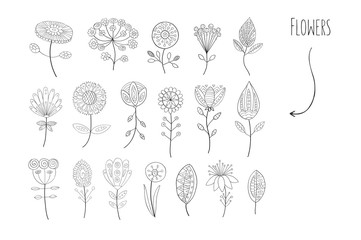Lovely hand drawn floral elements