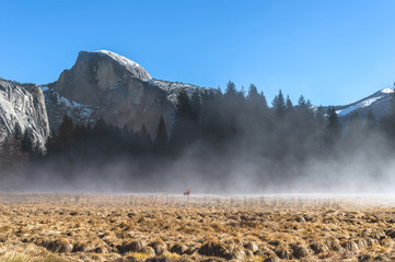 Half dome view from Yosemite Valley in the early morning with fog or mist in the foreground.