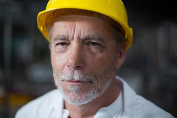 Portrait of confident factory worker