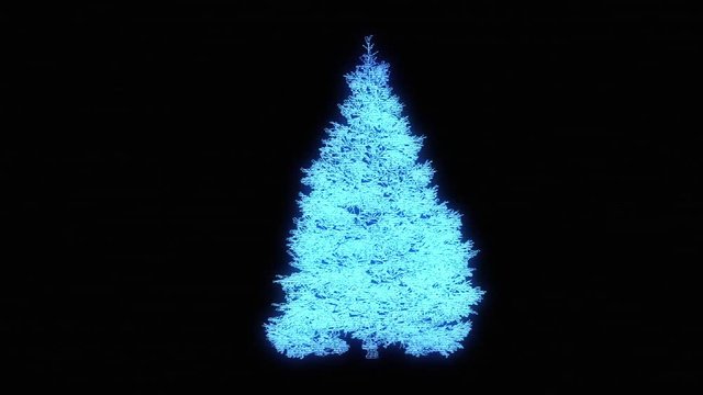  Tree Plant in Wireframe Hologram Style. Nice 3D Rendering

