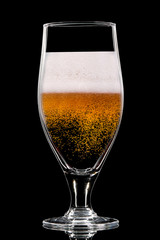 Silhouette of colorful beer glass with on black background